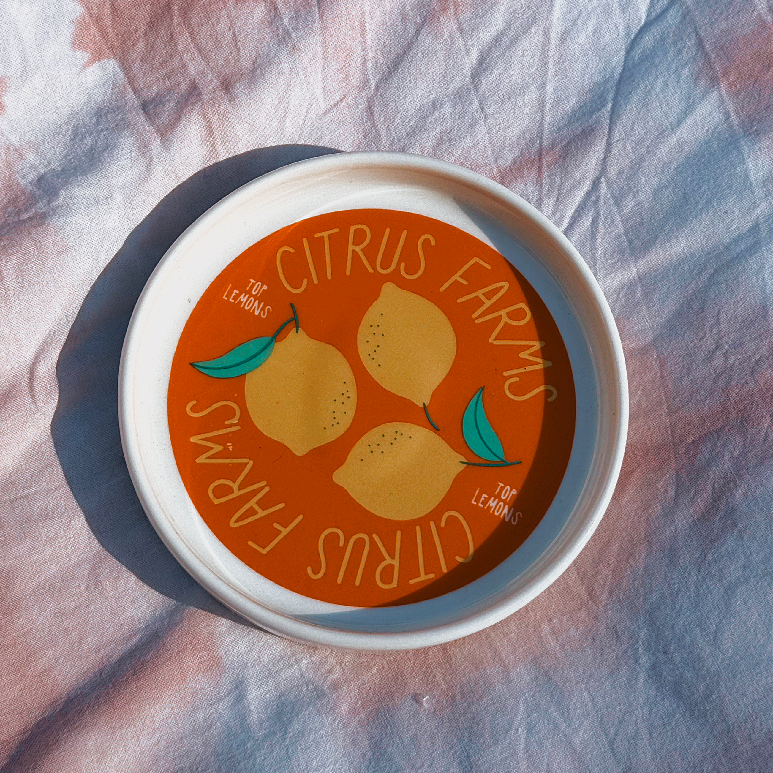 ANNA - The New Home Ritual 🏠