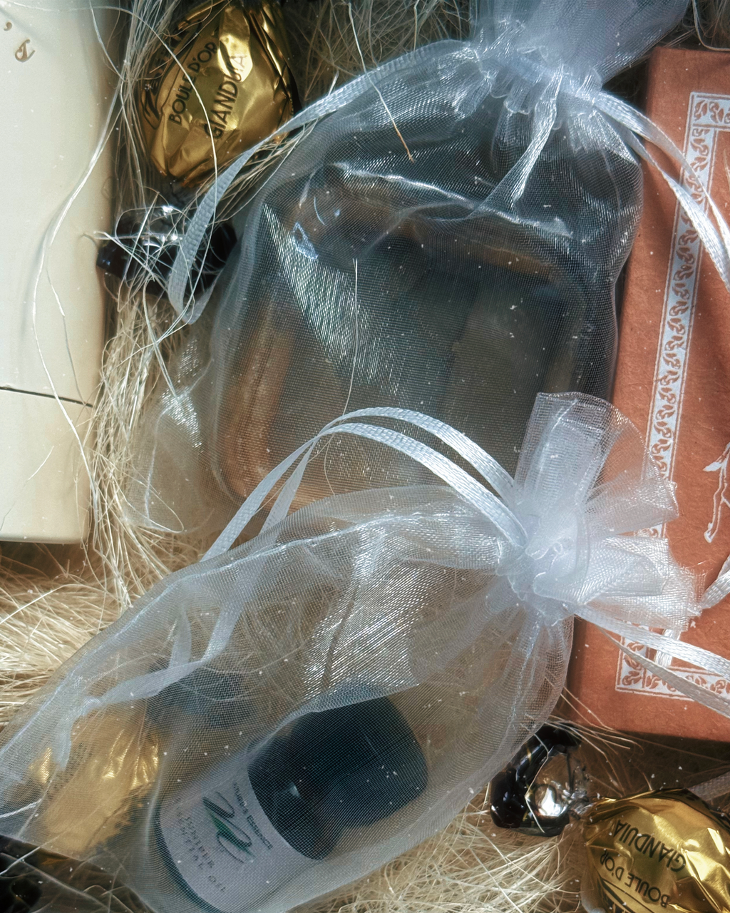 SAMAYA - A Time to Pause ⌛