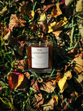 A glass jar candle labeled 'THE GENTLEMAN' sits outdoors on a bed of dry autumn leaves and grass in warm sunlight.